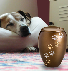 animal urn, dog urn, cat urn
