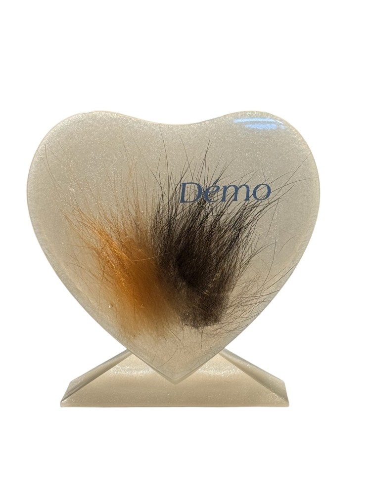 urne pour animaux de crémation animaux RB