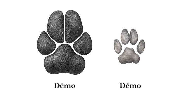 urne pour animaux de crémation animaux RB
